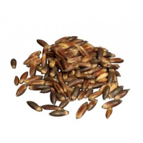 DLG sort havre 14 kg