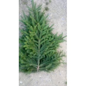 Foderhallens R�dgran til pynt 1 kg