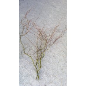 Foderhallen Troldpil til pynt  (3 grene) 40-60 cm