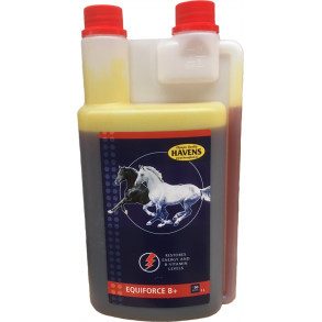 EquiForce B+ 1 Liter