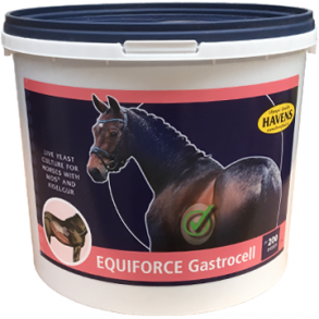 EquiForce Gastrocell 3 kg