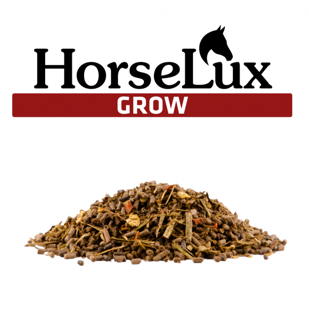 HorseLux Grow 15 kg