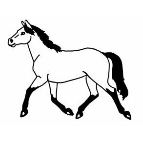 Jorenku Staldren Biotin 4 kg