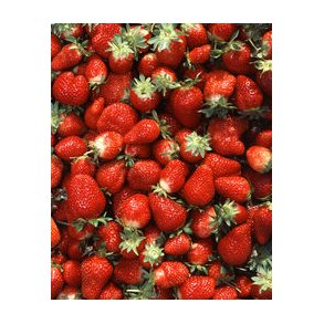 Foderhallens Jordbr og kartofler i Ssonen  